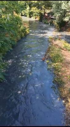 Eyüpsultan'daki Pirinççi deresinde kötü koku şikayeti