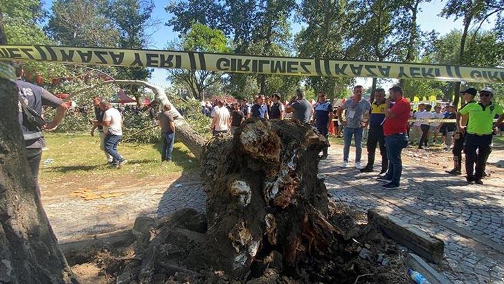Kırkpınar'ın yapıldığı Sarayiçi'nde ağaç devrildi: 2 yaralı