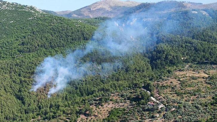 Milas'ta orman yangını