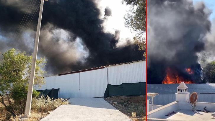 Hurdalık deposu yangınını görüntüleyen gazetecilere tehdit