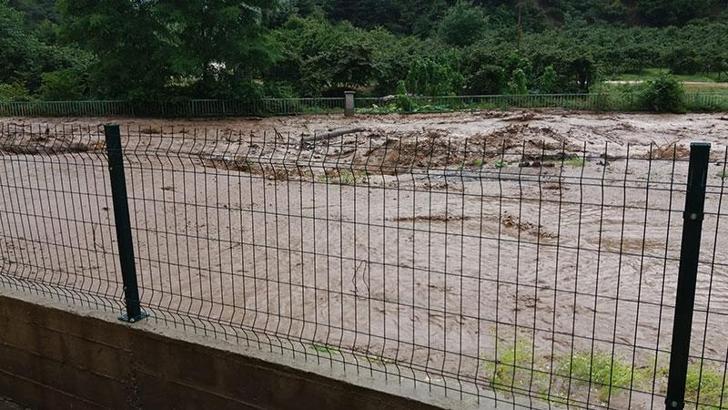 Giresun’da sağanak; dere taştı, evleri su bastı
