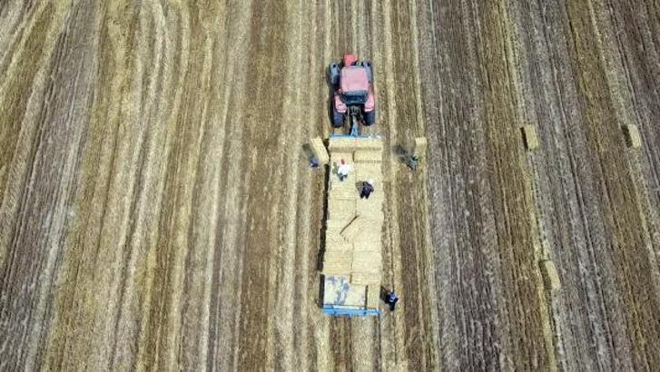 Edirne'de balya işçilerinin 38 derecelik sıcakta zorlu mesai