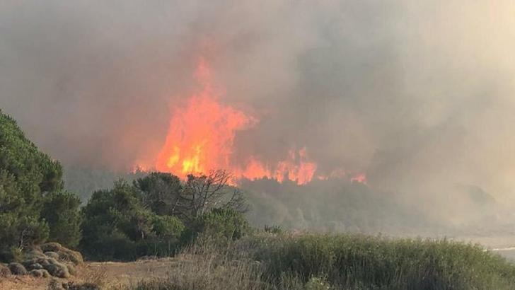 Gökçeada'daki orman yangını, 16,5 saat sonra kontrol altında