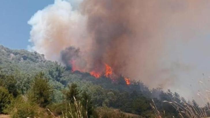 Osmaniye'deki yangında 400 dönüm orman yandı