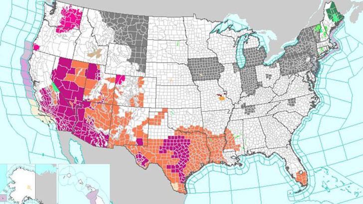 ABD ve Avrupa’da sıcak hava dalgası sürüyor