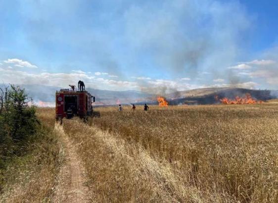 Tokat'ta 15 dönüm buğday tarlası kül oldu