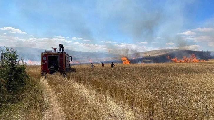 Tokat'ta 15 dönüm buğday tarlası kül oldu