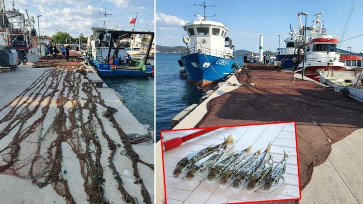 'Ölümcül balık'la mücadelede 5 milyon yeni bireyin ekosisteme girişi engellendi