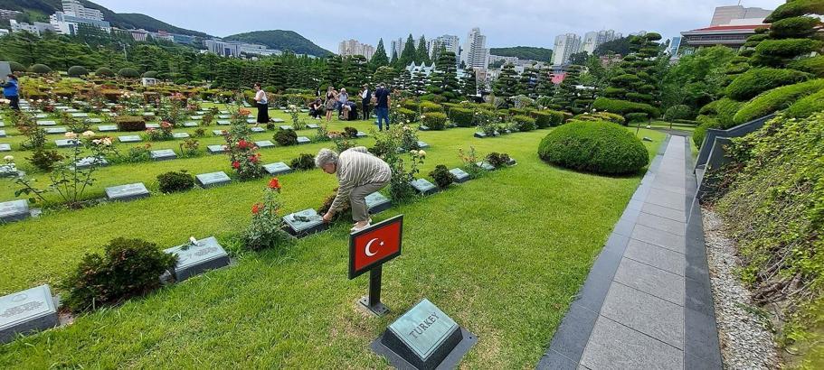 Dostluğun 70'inci yılında Türkiye'de Kore'ye tur programları yapılıyor