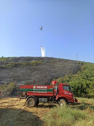 Muğla'da orman yangını (2)