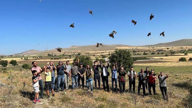 Eskişehir'de kınalı keklikler doğayla buluştu