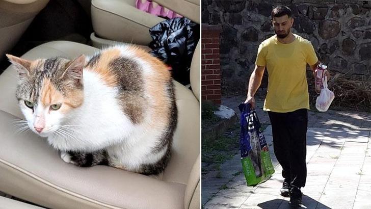 Belediyenin bakım merkezine getirdiği kedisi 1 gün sonra öldü; ihmal iddiasıyla CİMER'e başvurdu