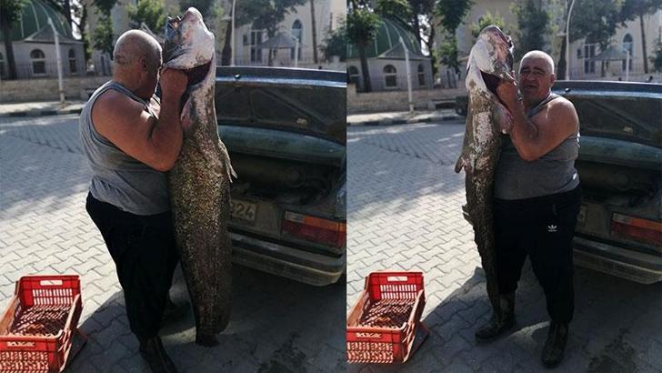 Meriç Nehri’nde 2 metrelik yayın balığı yakaladı