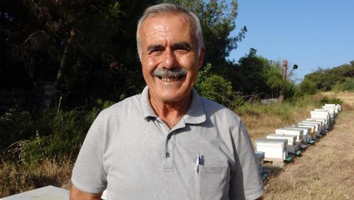 'Yüksek sıcaklıklar arı popülasyonu ve bal verimini olumsuz etkiliyor'