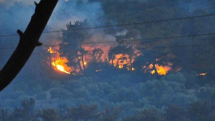 Manisa'daki orman yangını 23 saat sonra kontrol altına alındı