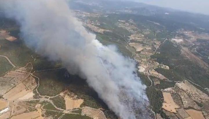 Kınık'ta orman yangını