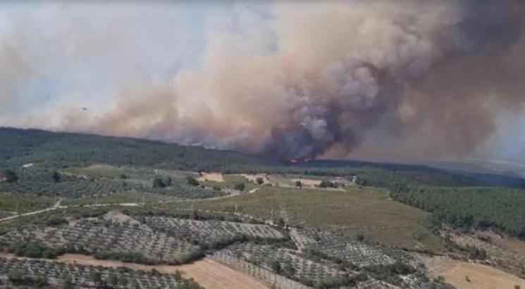 Kınık'ta orman yangını (2)