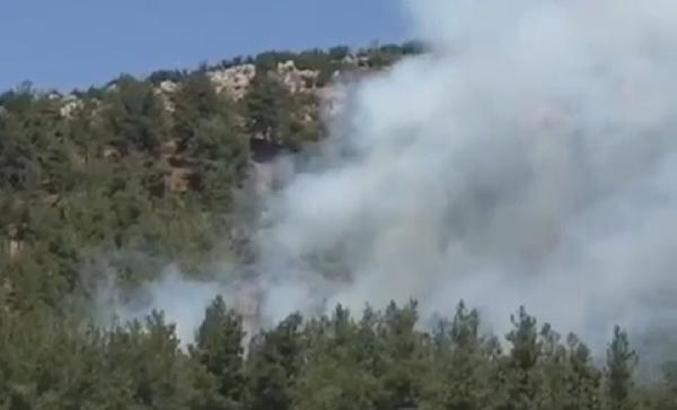 Gaziantep’te orman yangını