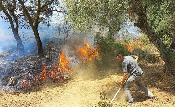 Kınık Belediye Başkanı Sadık Doğruer: Yanan her bir canlının acısını derinden hissetmekteyiz.