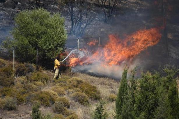 İzmir Güzelbahçe'de orman yangını / Ek fotoğraflar