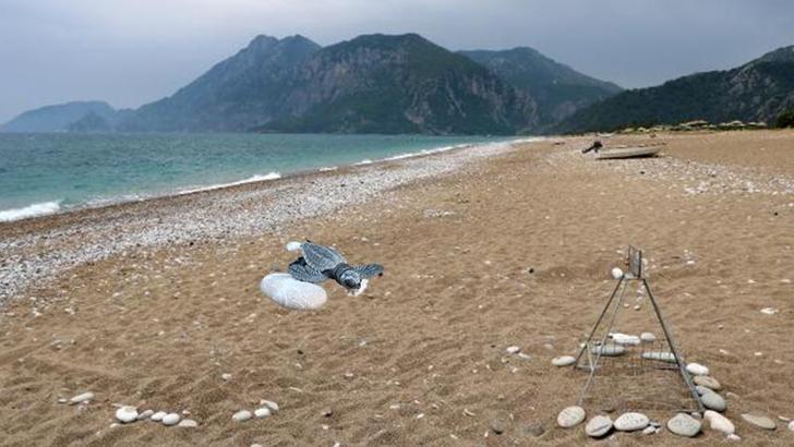 Çıralı'ya gelen turiste, SMS ile caretta uyarısı