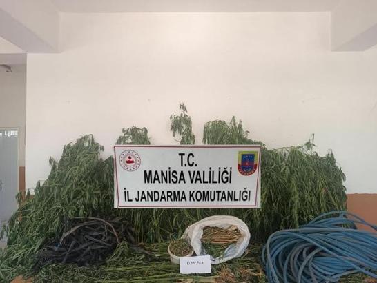 Manisa'da uyuşturucu operasyonu: 1 gözaltı