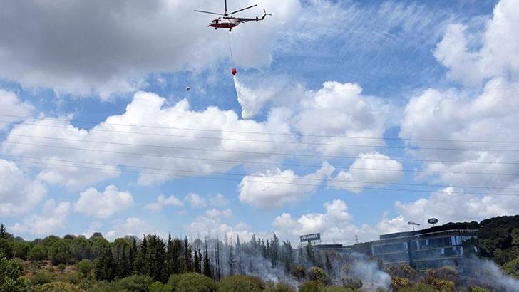 Kağıthane'de TEM Otoyolu kenarında ağaçlarda yangın