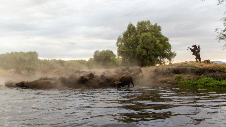Hürmetçi Sazlığı 'kesin korunacak hassas alan' ilan edildi