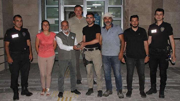 Emniyet bahçesinde yaralı bulunan balabana tedavi