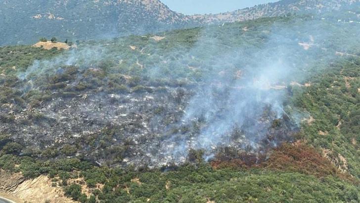 İzmir'de otomobilde çıkan yangın ormana sıçradı; kontrol altına alındı