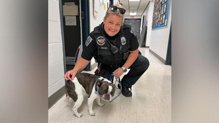 ABD’de bir yolcu köpeğini havalimanında terk etti