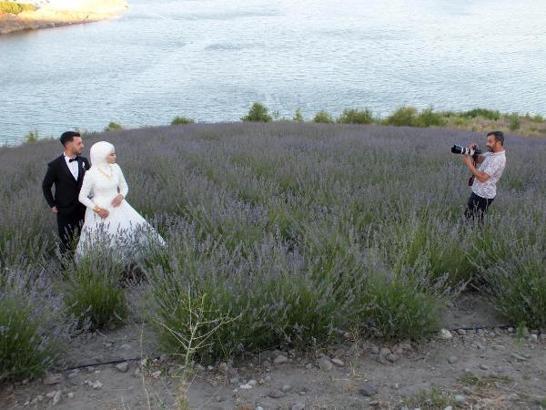 Yozgat'ta lavanta bahçesinde hasat zamanı