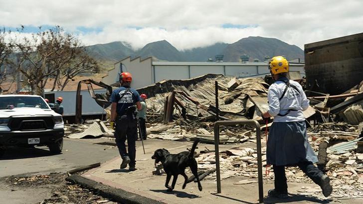 Havai’deki orman yangınlarında can kaybı 93’e yükseldi