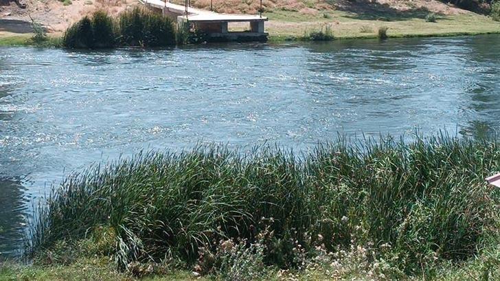 Yüzmek için Kızılırmak'a giren Çağrı, kayboldu