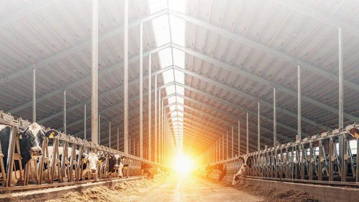 IPARD II Programı için 13'üncü başvuru çağrısı