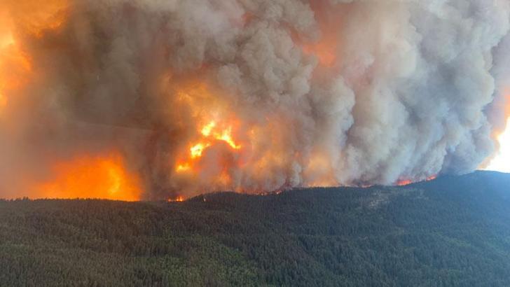 Kanada’nın doğusunda orman yangınları sebebiyle olağanüstü hal ilan edildi