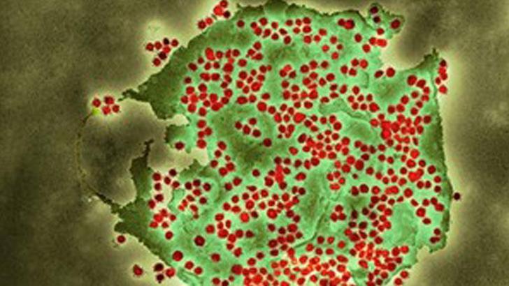 Yeni Kovid varyantı BA 2.86 İngiltere'de tespit edildi