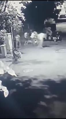 Büyükada'da laf atma kavgası: 3 yaralı