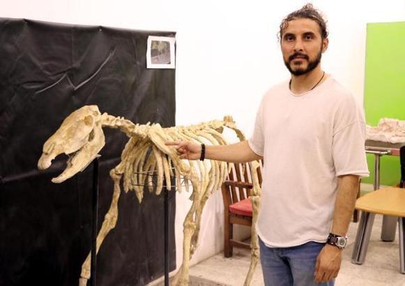 7,5 milyon yıllık fosiller, Türkiye'nin ilk ve tek Paleontoloji Müzesi'nde sergilenecek