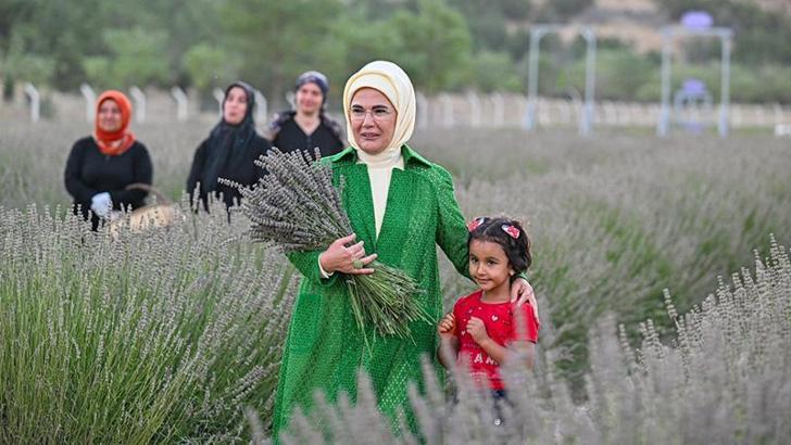 Emine Erdoğan, Ankara'da Ekolojik Köy ziyareti ve lavanta hasadı yaptı