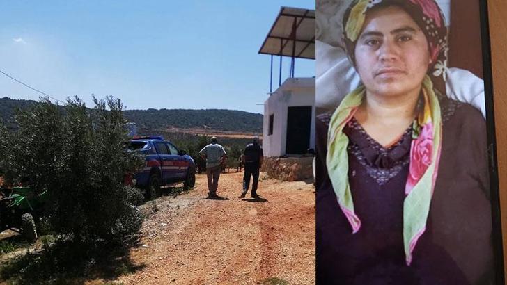 Bir haftadır aranan kadın, zeytinlikte ölü bulundu