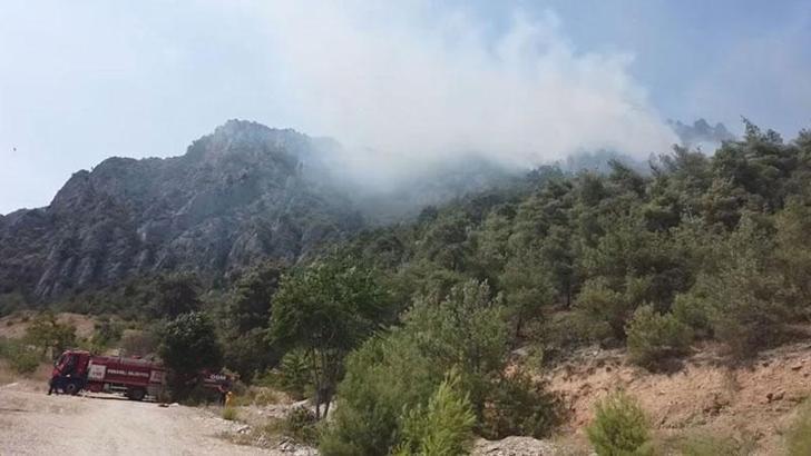 Bilecik'te orman yangını