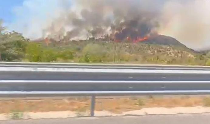 Çankırı'da orman yangını