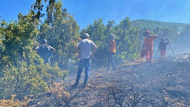 Bingöl'de orman yangını, büyümeden kontrol altına alındı