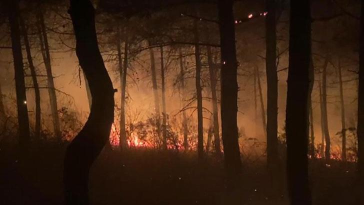 Maltepe'deki orman yangını söndürüldü