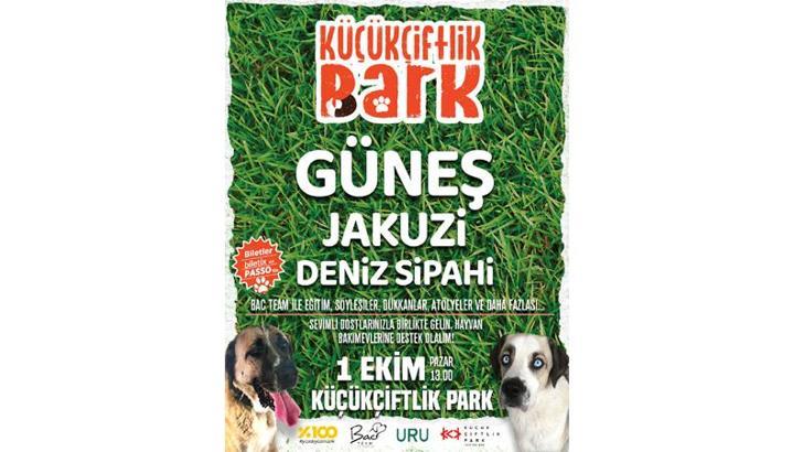 Barınak hayvanları için sahne alacaklar