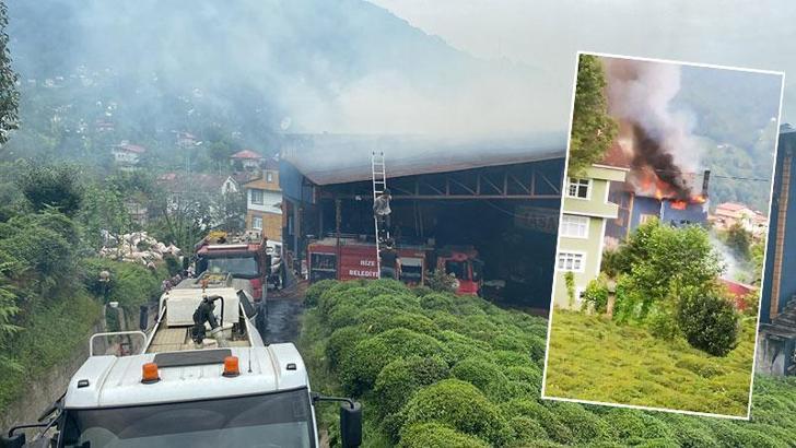 Rize'de, özel çay fabrikasında yangın