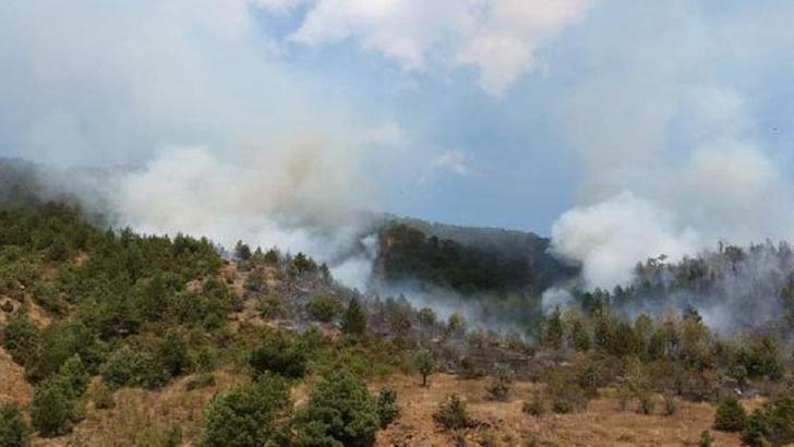 Çankırı'da orman yangını kontrol altına alındı