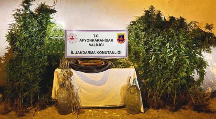 Kenevir ekimi yapanlar fotokapanla yakalandı