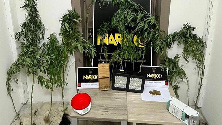 Evlerinde uyuşturucu yetiştiren karı- kocaya gözaltı